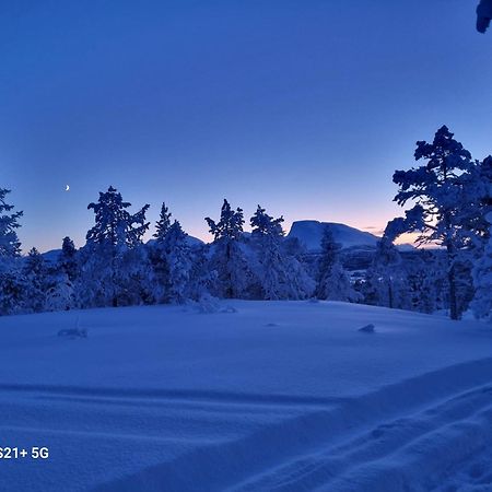 Malangen Lodge Mestervik エクステリア 写真