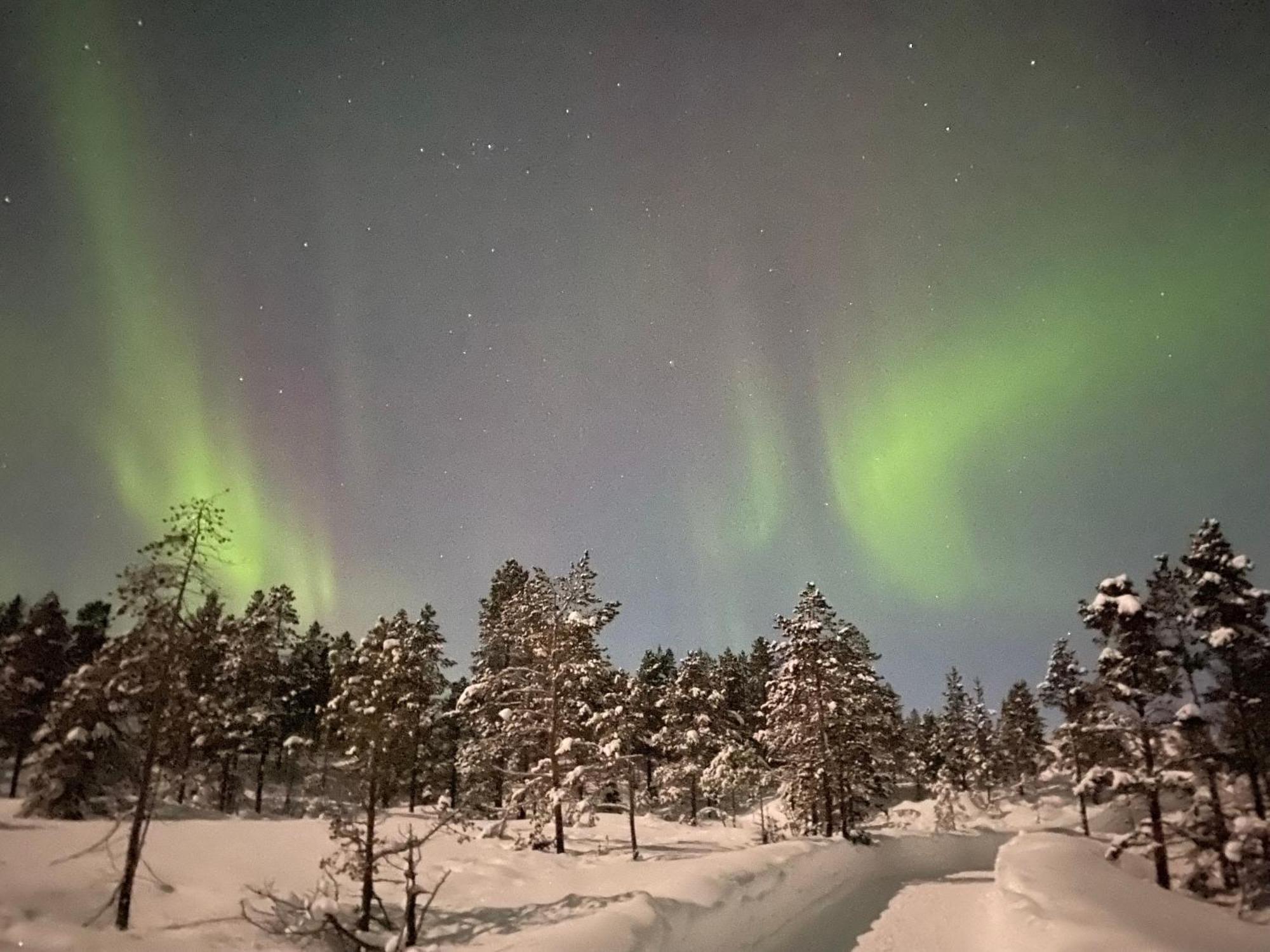 Malangen Lodge Mestervik エクステリア 写真