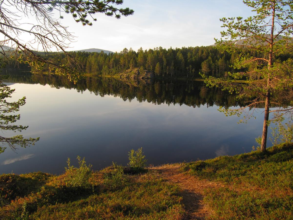 Malangen Lodge Mestervik エクステリア 写真