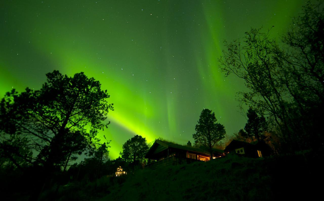 Malangen Lodge Mestervik エクステリア 写真