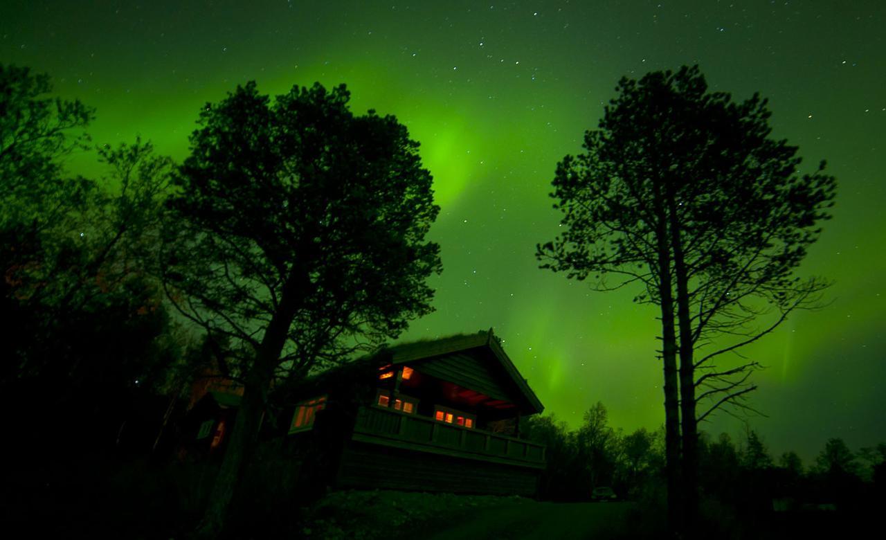 Malangen Lodge Mestervik エクステリア 写真