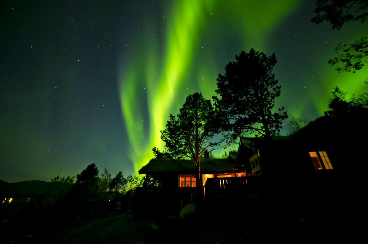 Malangen Lodge Mestervik エクステリア 写真