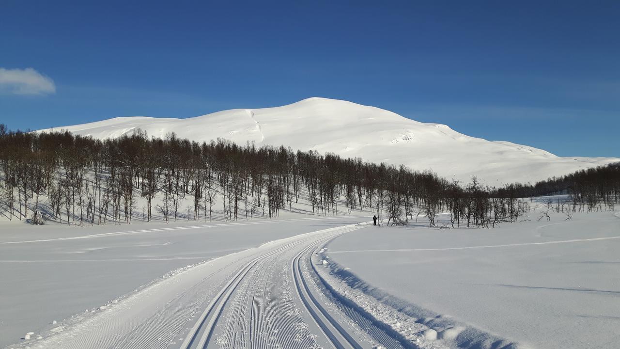 Malangen Lodge Mestervik エクステリア 写真