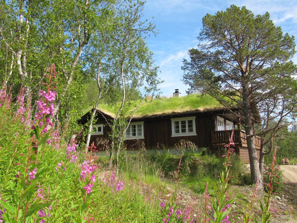 Malangen Lodge Mestervik エクステリア 写真